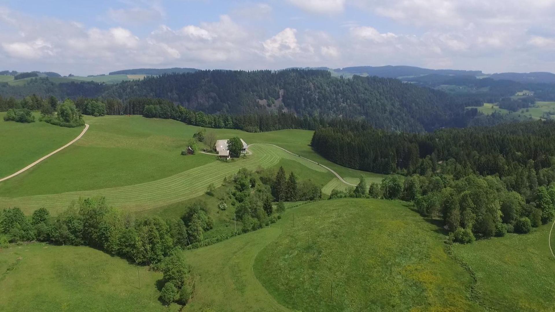 Ferienhaus Esche Hinterzarten Dış mekan fotoğraf