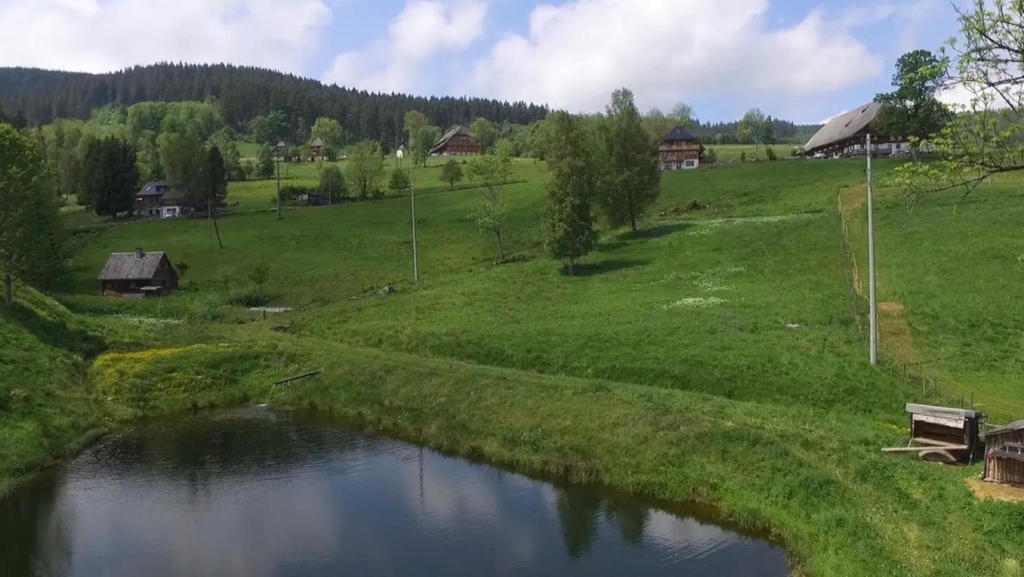 Ferienhaus Esche Hinterzarten Dış mekan fotoğraf