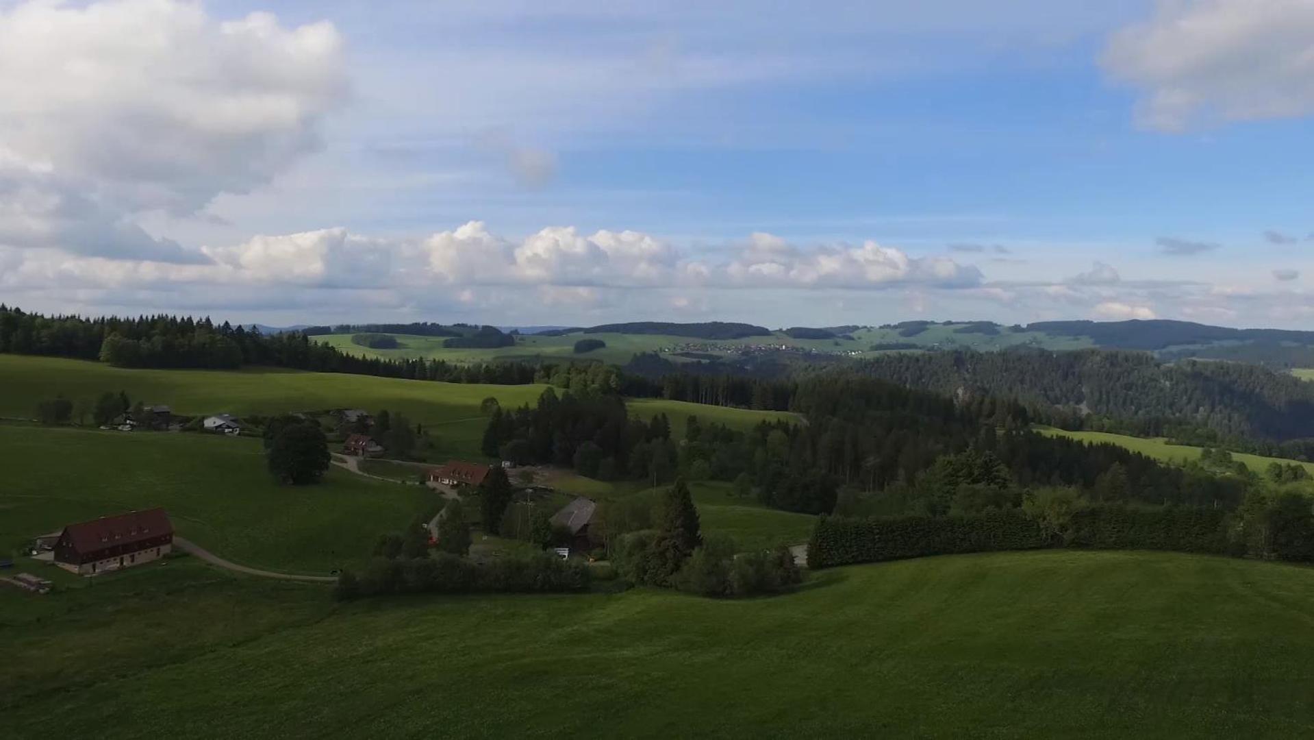 Ferienhaus Esche Hinterzarten Dış mekan fotoğraf