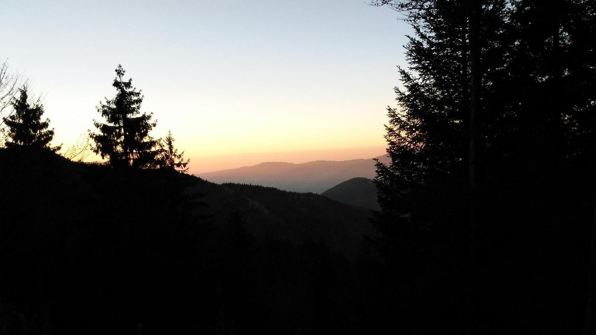 Ferienhaus Esche Hinterzarten Dış mekan fotoğraf