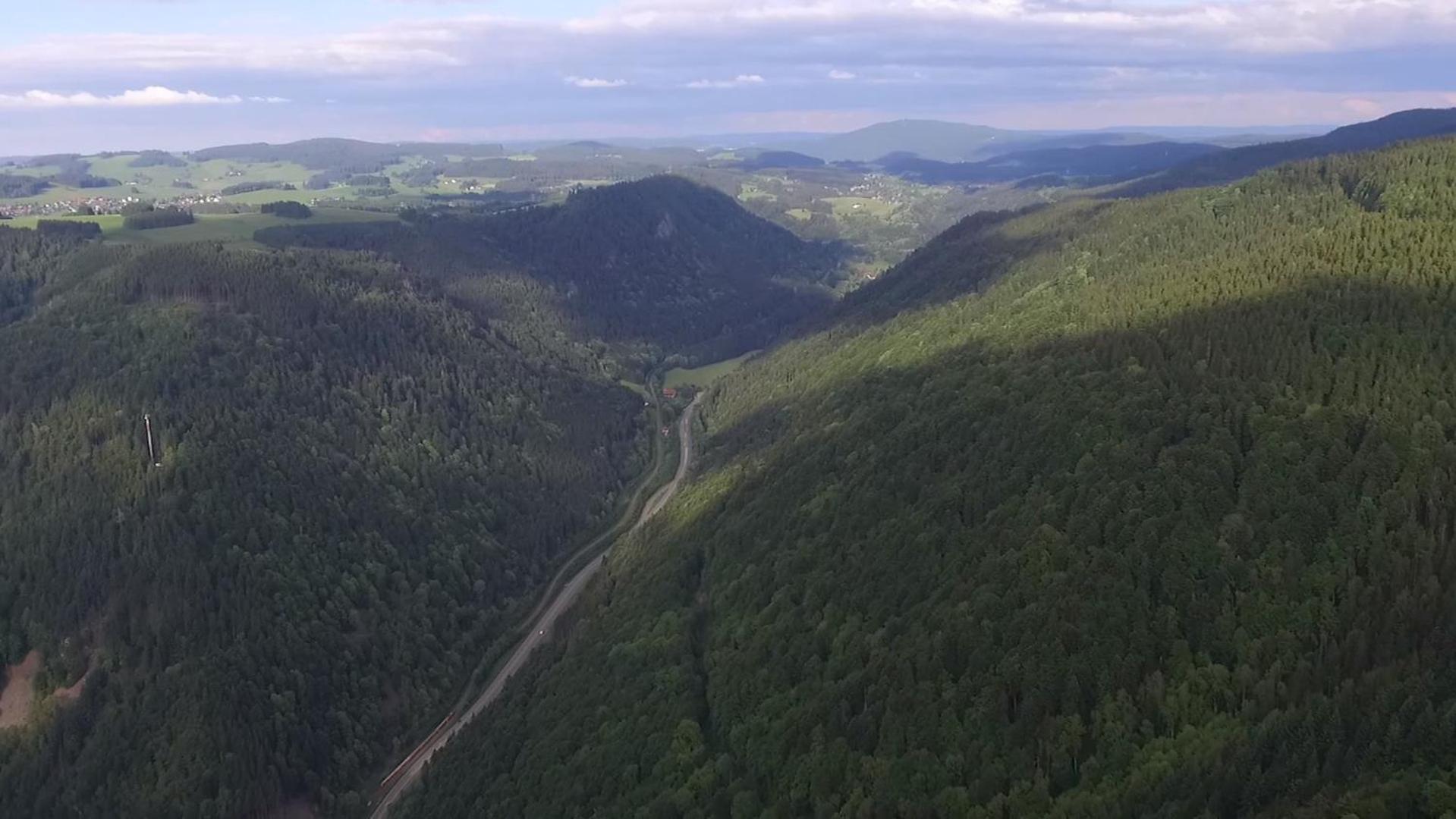 Ferienhaus Esche Hinterzarten Dış mekan fotoğraf