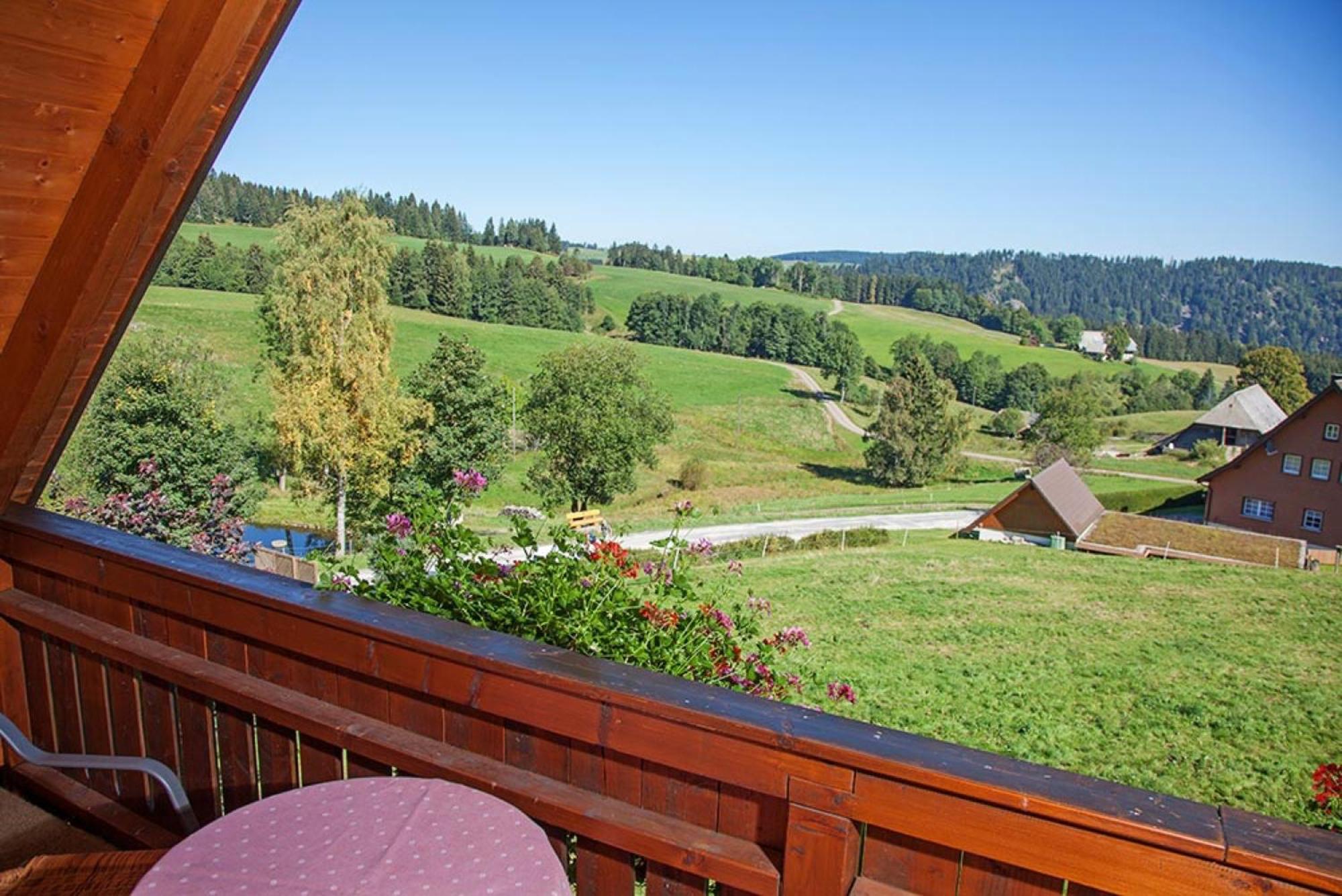 Ferienhaus Esche Hinterzarten Dış mekan fotoğraf