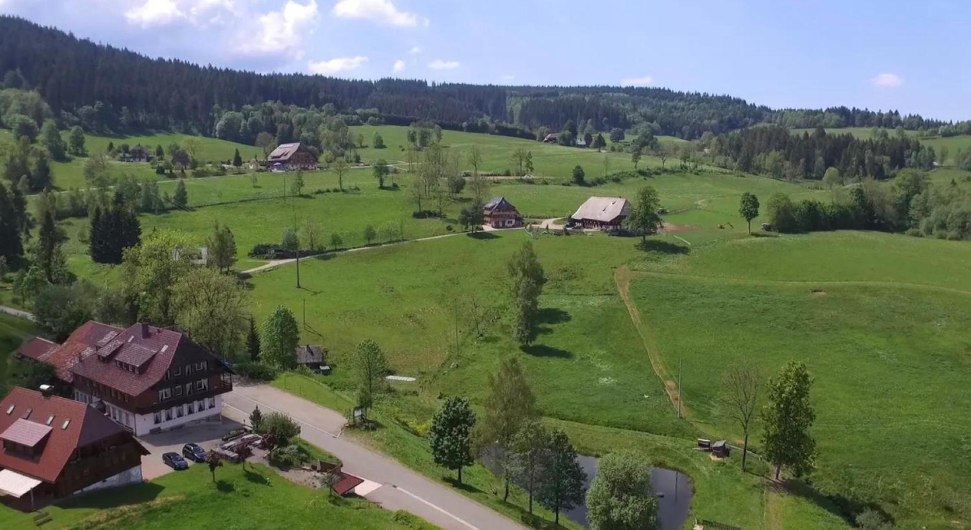 Ferienhaus Esche Hinterzarten Dış mekan fotoğraf