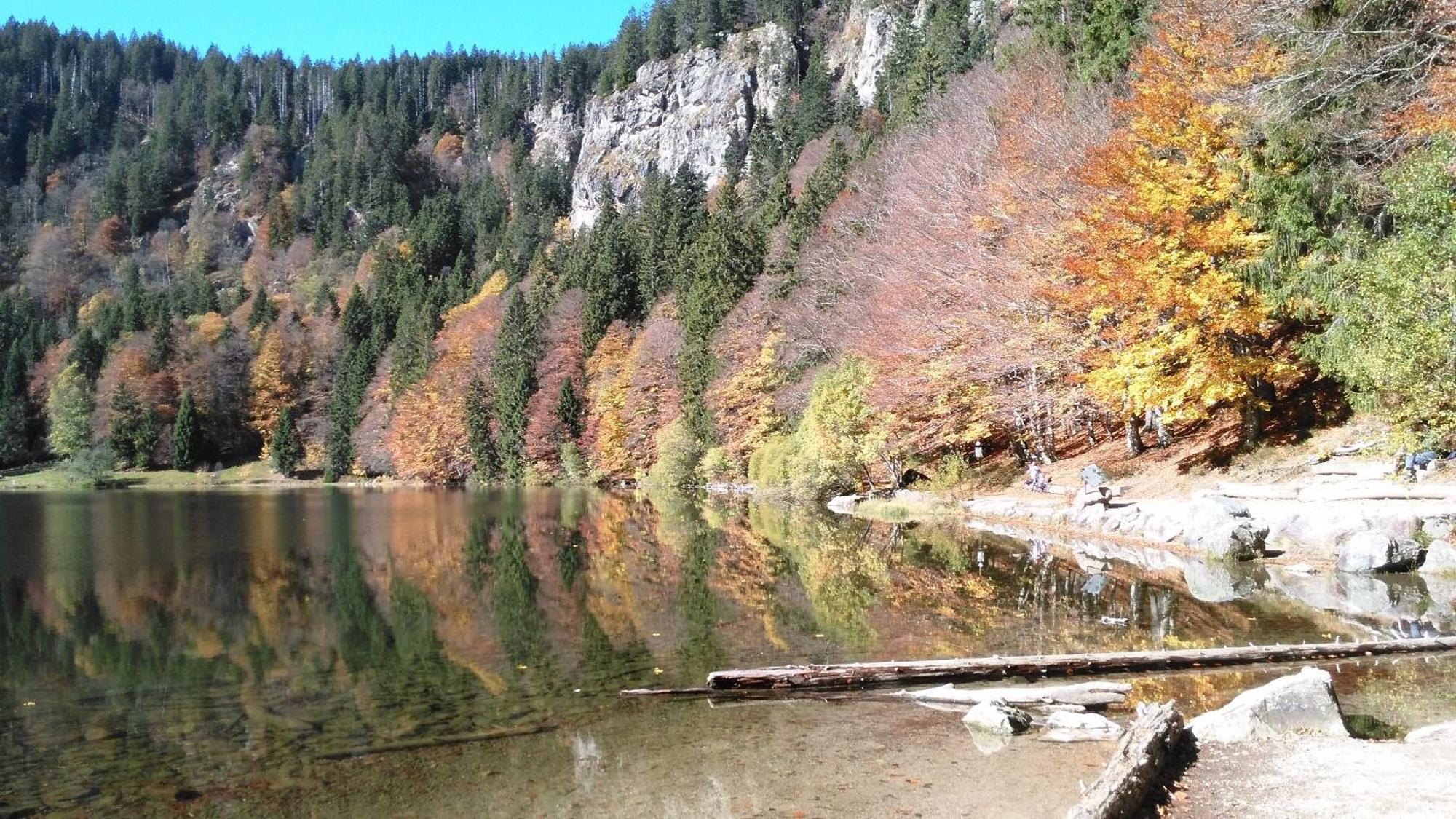 Ferienhaus Esche Hinterzarten Dış mekan fotoğraf