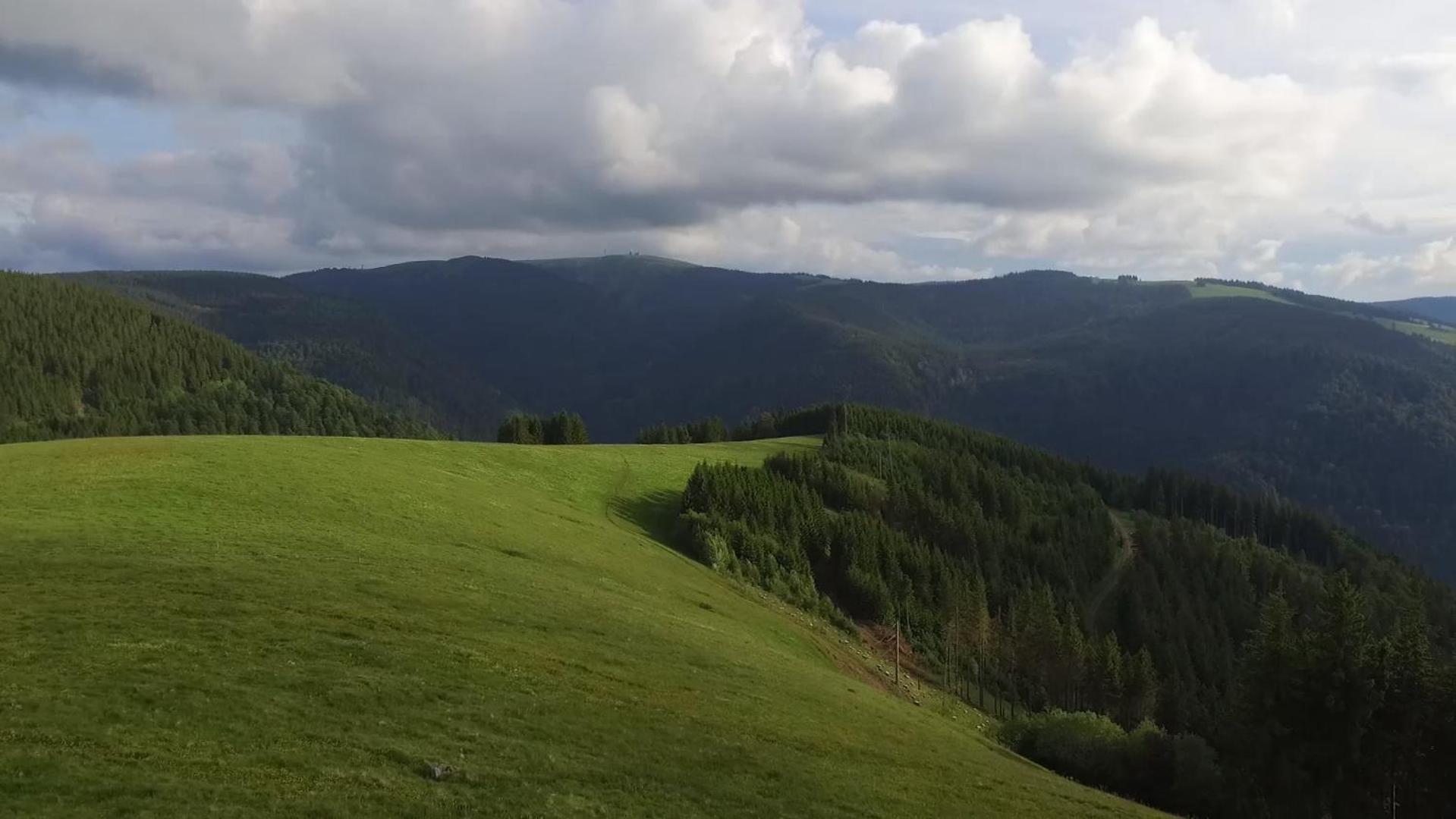 Ferienhaus Esche Hinterzarten Dış mekan fotoğraf