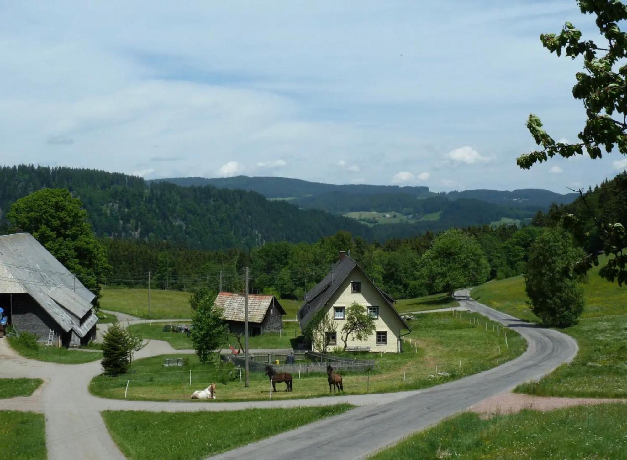 Ferienhaus Esche Hinterzarten Dış mekan fotoğraf