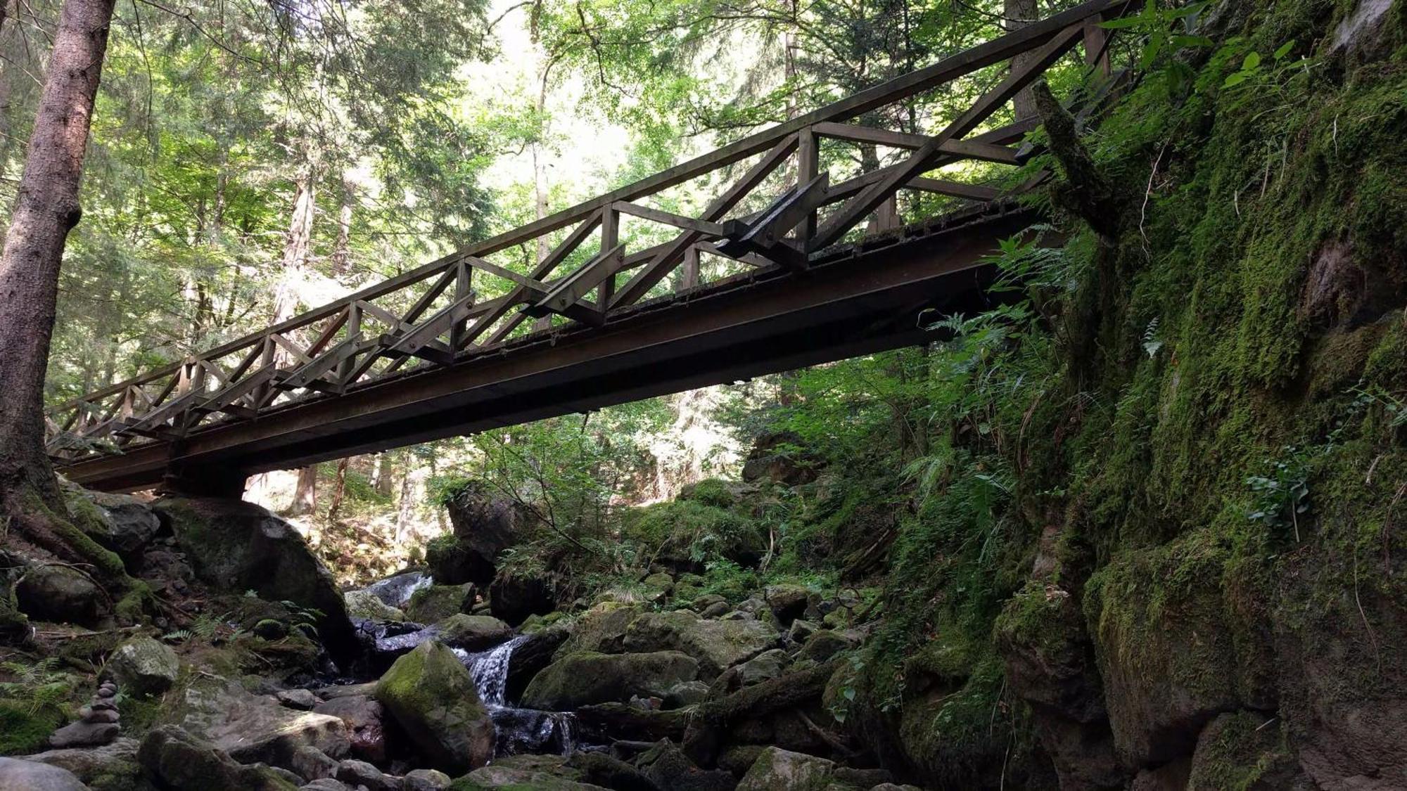 Ferienhaus Esche Hinterzarten Dış mekan fotoğraf